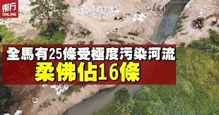 网红同款过滤器