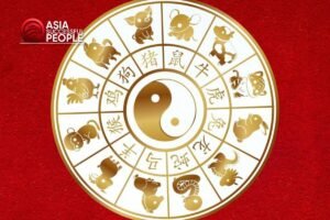 2026年十二生肖运势