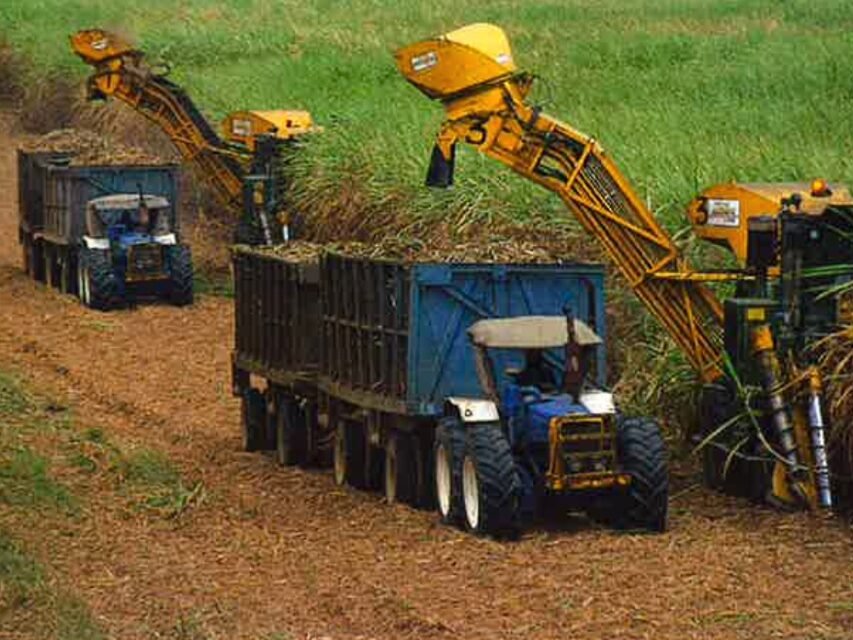 真正的组织能力体现在:能做难的行业,却不爆雷