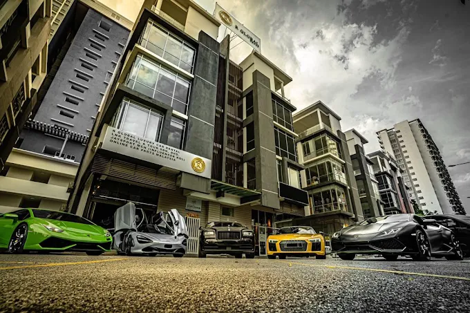 “VIP 护送服务用车”