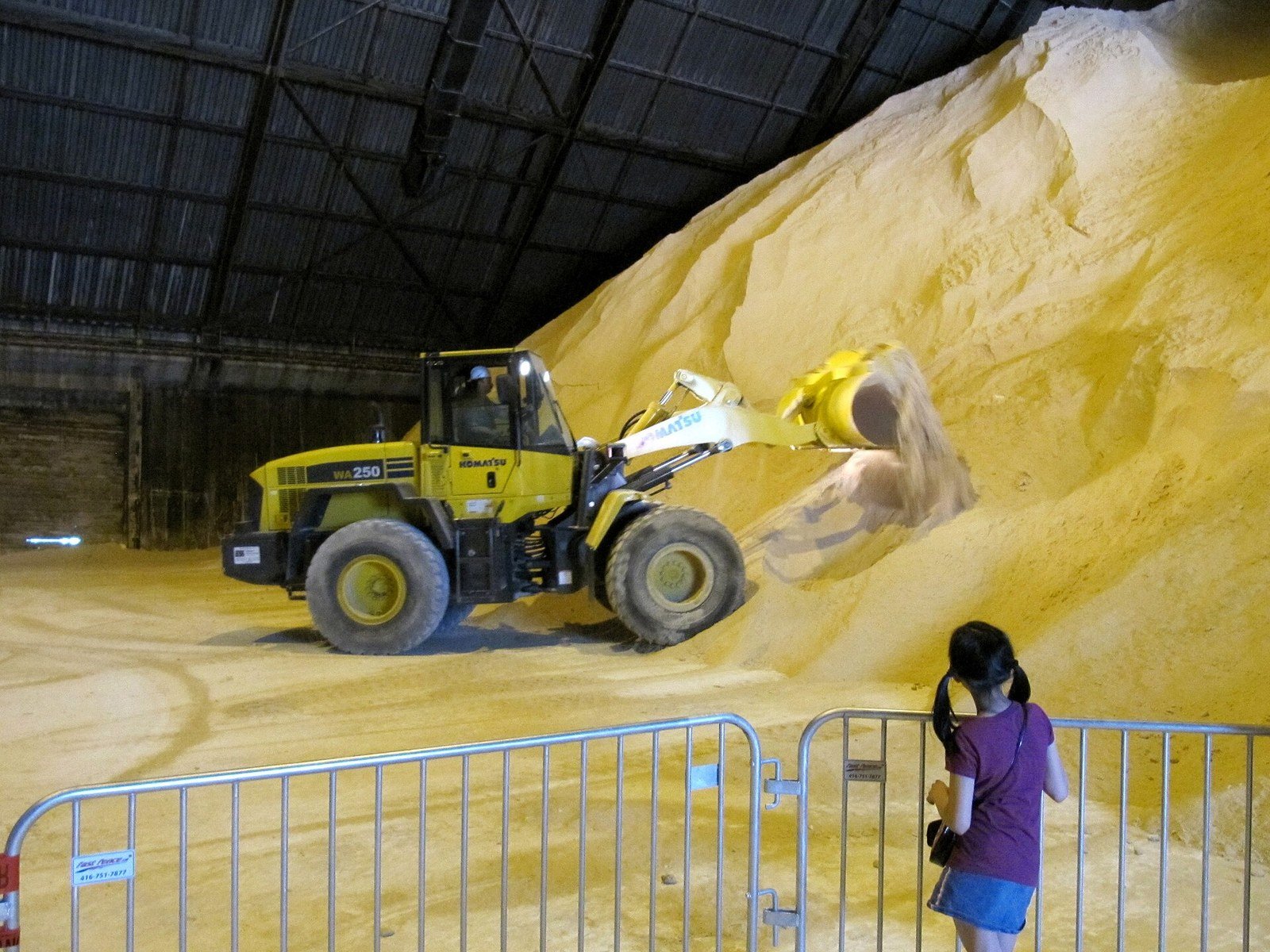 一座糖厂仓库内部,一辆黄色小松装载机正在移动大量原糖堆,一名女孩站在金属护栏后观看